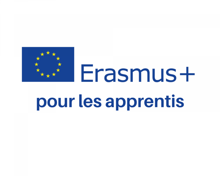 Inclure durablement Erasmus+ dans le parcours des apprentis