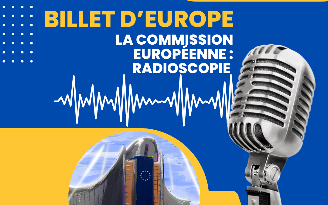 La Commission européenne : radioscopie