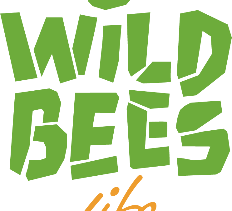 LIFE WILD BEES : les 5 parcs naturels régionaux de Nouvelle Aquitaine acteurs d’un projet européen pour sauver les abeilles sauvages.